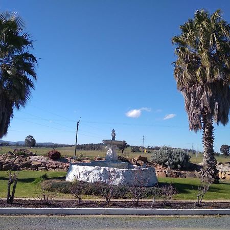Allonville Gardens Motel Wagga Wagga Zewnętrze zdjęcie