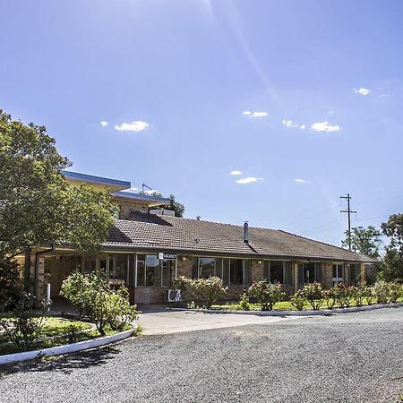 Allonville Gardens Motel Wagga Wagga Zewnętrze zdjęcie