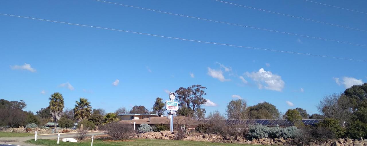 Allonville Gardens Motel Wagga Wagga Zewnętrze zdjęcie