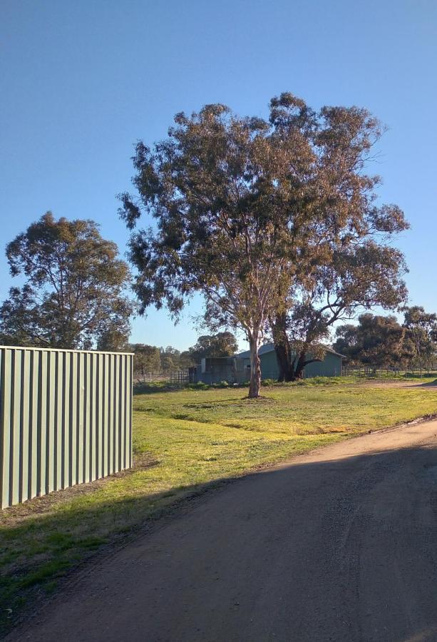 Allonville Gardens Motel Wagga Wagga Zewnętrze zdjęcie