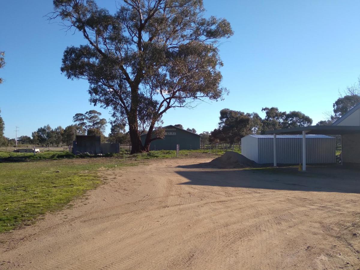 Allonville Gardens Motel Wagga Wagga Zewnętrze zdjęcie