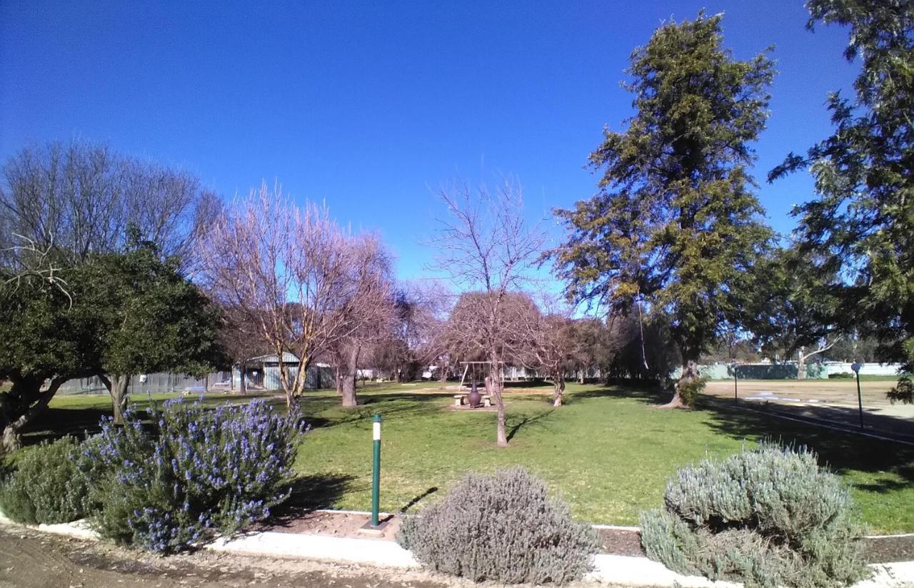Allonville Gardens Motel Wagga Wagga Zewnętrze zdjęcie