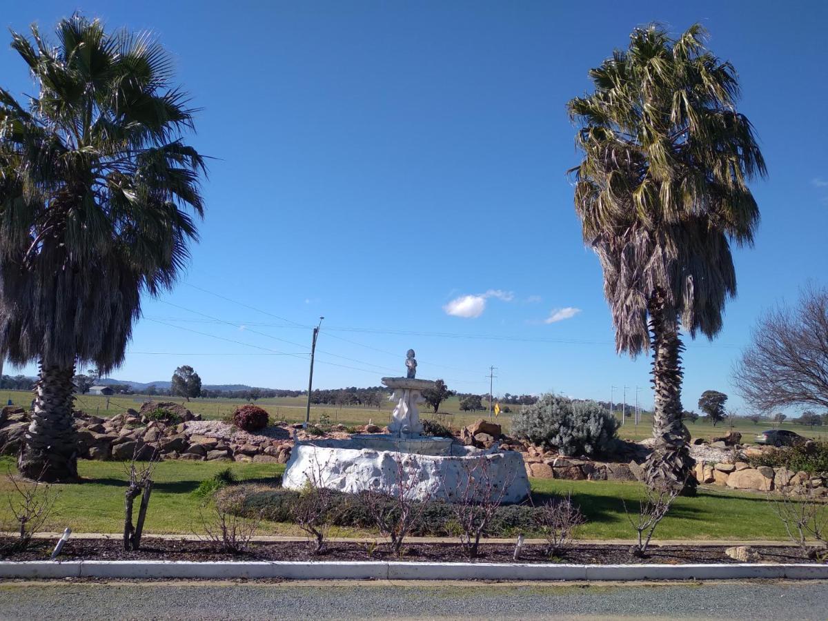 Allonville Gardens Motel Wagga Wagga Zewnętrze zdjęcie