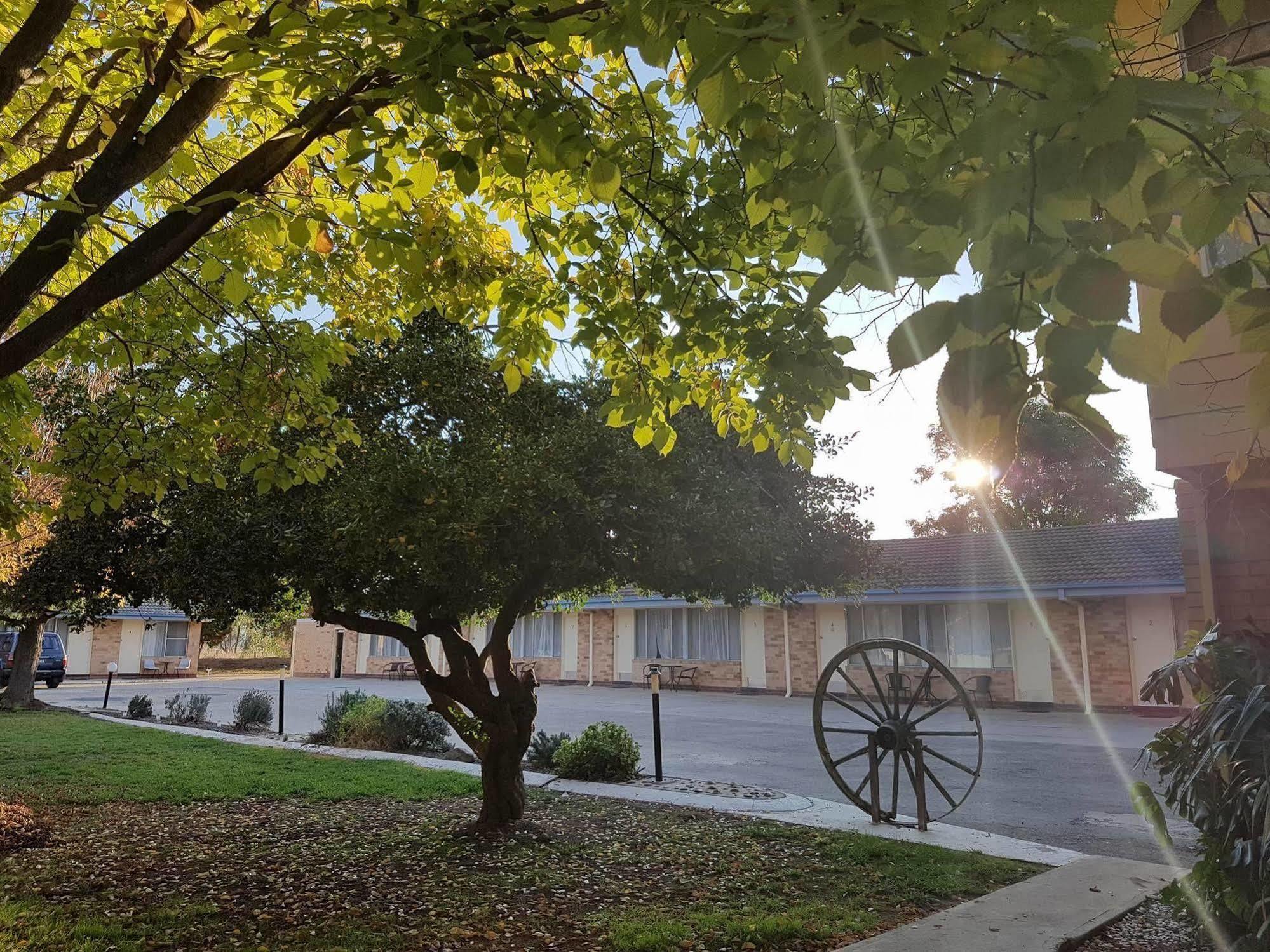 Allonville Gardens Motel Wagga Wagga Zewnętrze zdjęcie