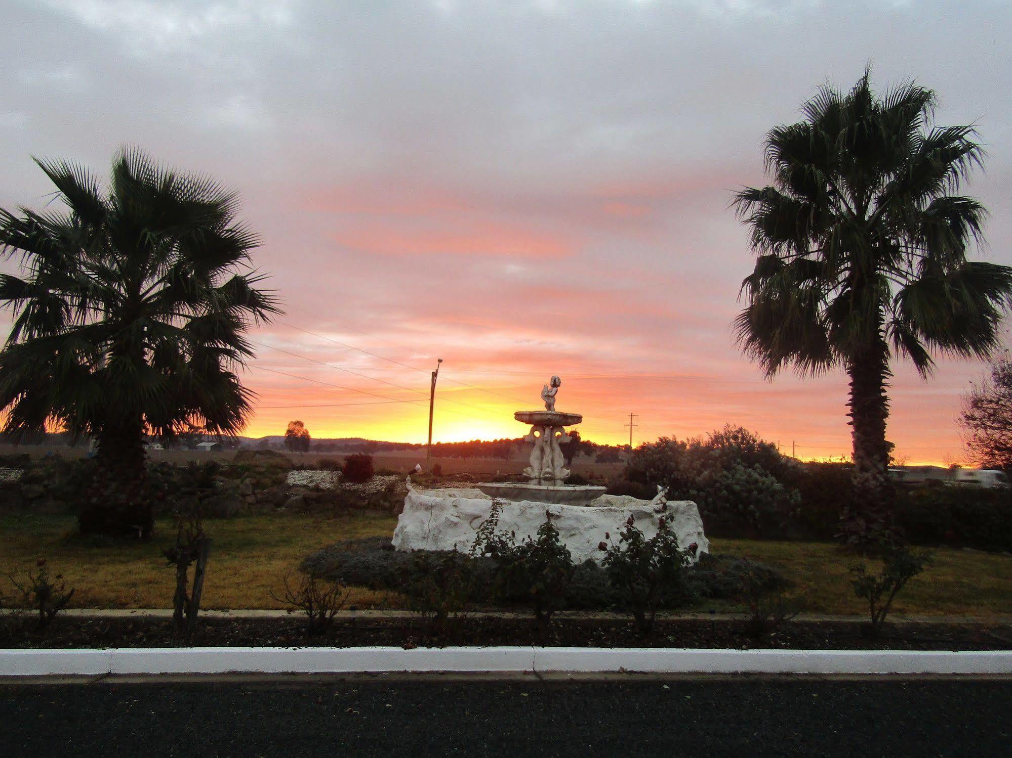 Allonville Gardens Motel Wagga Wagga Zewnętrze zdjęcie