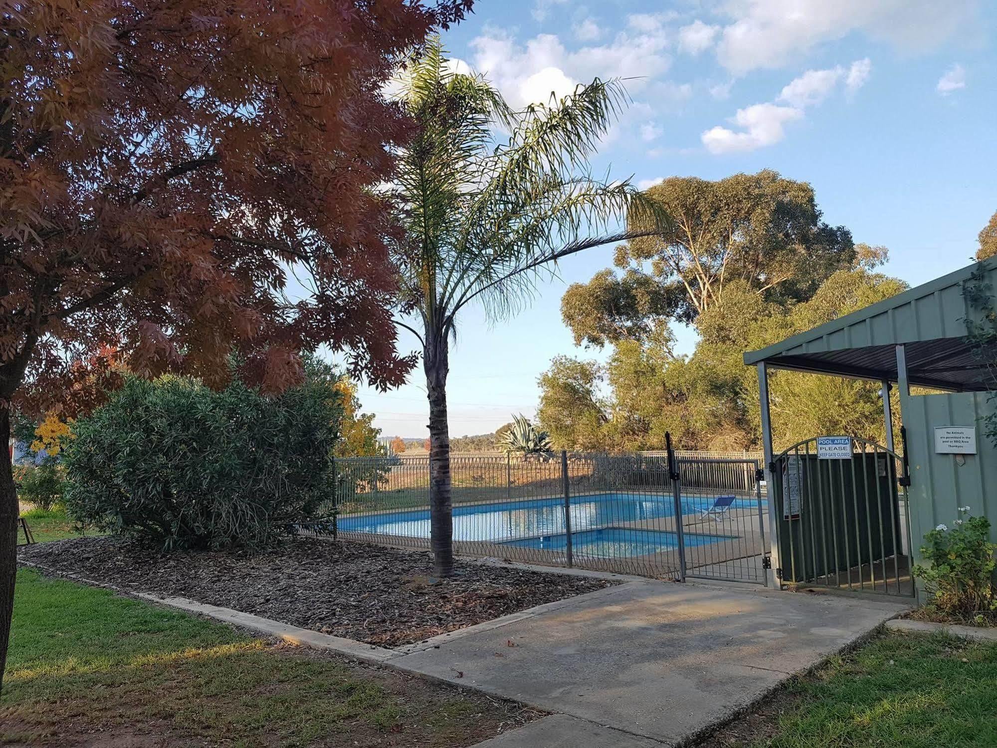Allonville Gardens Motel Wagga Wagga Zewnętrze zdjęcie